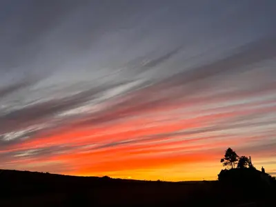 a sunset with a tree in the foreground at The Balnoon Inn B&B in St Ives