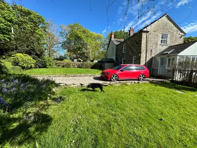 a black cat walking in the grass next to a red car at Little Nampara Cottage in Portreath
