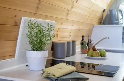 a potted plant sitting on a counter in a kitchen at Demelza in Liskeard