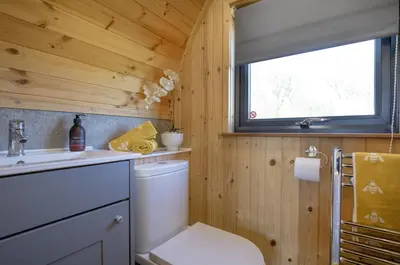 a bathroom with a toilet and a sink and a window at Demelza in Liskeard