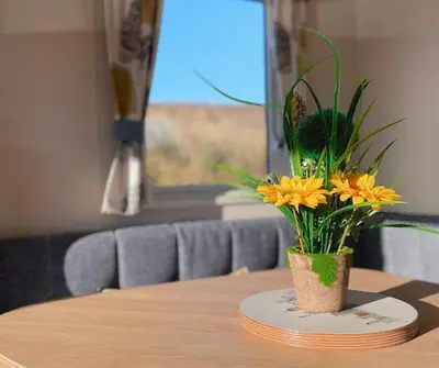 a vase with yellow flowers sitting on a table at Dune Breeze-Haven Perran Sands Holiday Park in Perranporth