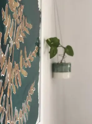 a plant in a vase sitting on a door at Stylish Room Close to Beaches in Falmouth