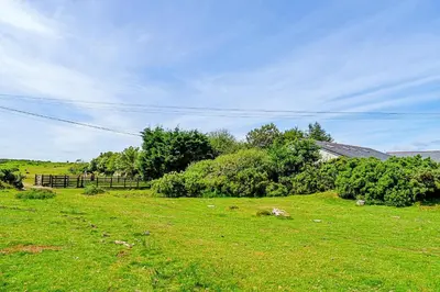 a field of green grass with a fence and trees at Finest Retreats - Stable Barn Apartment at Bodmin Moor in Saint Breward