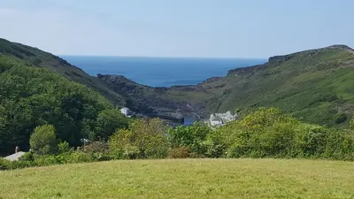 a grassy hill with a view of the ocean at Boscastle House in Boscastle