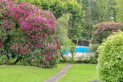 a garden with pink flowers and a swimming pool at Finest Retreats - Lanteglos Villa in Camelford