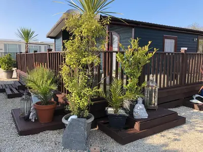 a group of potted plants in front of a house at Sunset family lodge private garden private parking in Saint Columb Minor