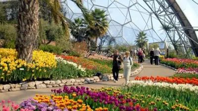 a group of people walking through a garden of flowers at Foxwood in Kenwyn