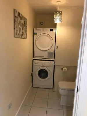 a bathroom with a washing machine and a toilet at Pencarrick in Kenwyn