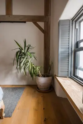 a potted plant in a room with a window at 5 Star Large Farmhouse Near The Beach With Hot Tub & Sauna - Porth, Near Newquay in Saint Columb Minor