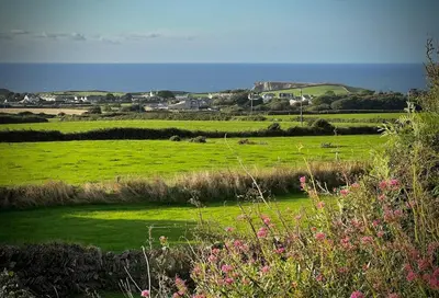 a green field with animals grazing in the distance at Old Chapel House in Tintagel
