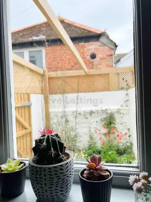 three potted plants sitting on a window sill at Old Bookshop - Unique house in central St Ives with outdoor space in St Ives