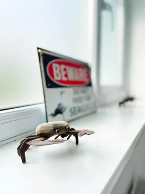 a toy frog sitting on a window sill next to a box at MINSTER DREAMS - A perfect seaside retreat for couples near Porthminster beach in St Ives