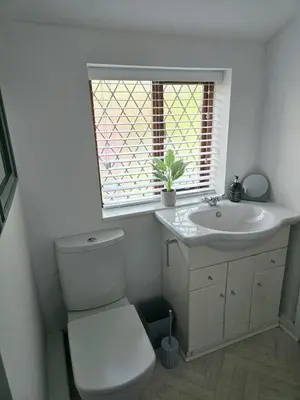a bathroom with a toilet and a sink and a window at Cosy Cottage Close to the Beach with Hot Tub in Carnbrea Station