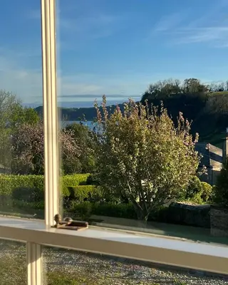 a window with a view of a tree at Stunning seaside cottage Charlestown harbour in Charlestown