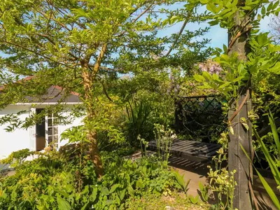 a garden with a tree and a fence at Little Acorns in Helston