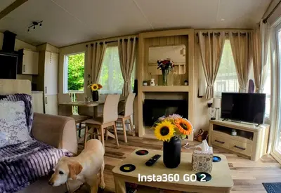 a living room with a dog standing in the living room at 63 The Lea with decking Trevella Holiday Park in Crantock