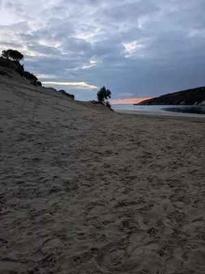 a sandy beach with trees in the distance at 63 The Lea with decking Trevella Holiday Park in Crantock