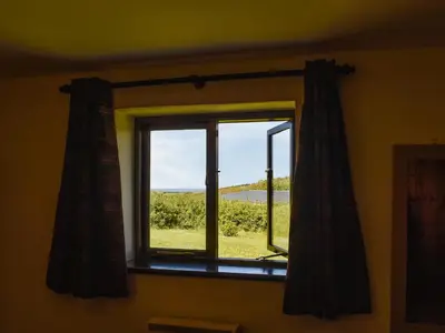 a window with a view of a field of grapes at Carriage House in Mawgan Porth