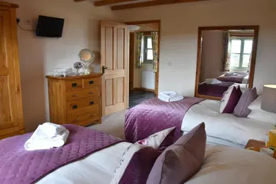 a bedroom with two beds with purple sheets at Ash Cottage, 3 bed large cottage in Tregoney