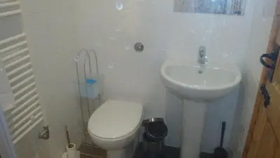 a small bathroom with a toilet and a sink at Beech cottage is a beautiful 1 bed cottage in Saint Ewe