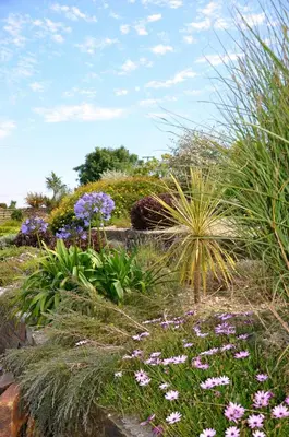 a garden with purple flowers and plants at Hawthorn Cottage Luxury stone Built Cottage in Tregoney