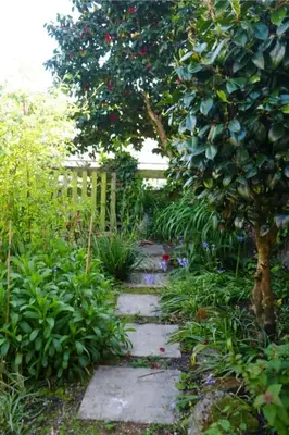 a garden with a tree and a stone walkway at Dunlin Cottage in Penryn