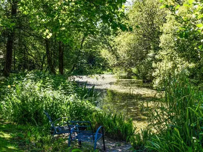 two blue chairs sitting in the grass next to a river at The Shippen - Uk49830 in Callington