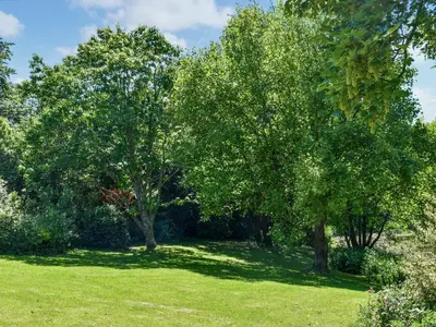 two trees in a field with green grass at The Shippen - Uk49830 in Callington