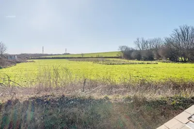 a large green field with yellow flowers in it at 5 Bed in Mitchell oc-c30790 in Mitchell
