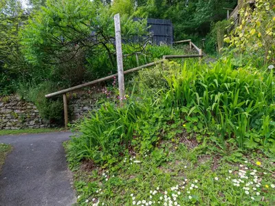 a path in a garden with flowers and a fence at Foxglove in Bodmin