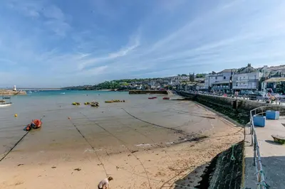 a beach with a dog standing on the sand at 2 Bed in St. Ives oc-b31979 in St Ives
