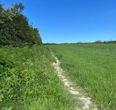 a dirt road in a field of green grass at Riverwood Lodge, Padstow in Padstow