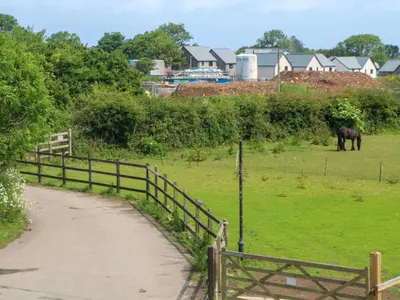 a horse grazing in a field next to a fence at Swallows Nest in St Ives
