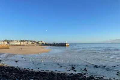 a flock of birds standing on a beach at Lisas Beach Pad, A Charming Coastal Retreat with Parking in St Ives