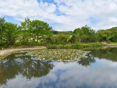 a pond filled with lots of lilies on the water at The Old Workshop - Uk49871 in Lanivet
