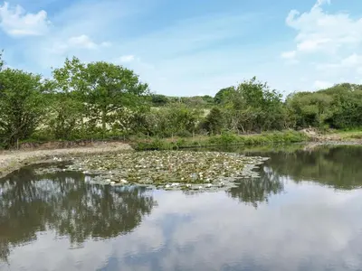 a river filled with lots of lilies on the water at Hosta House - Uk49872 in Lanivet