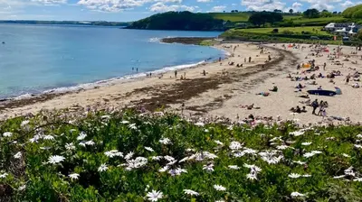 a beach with crowds of people and flowers at 'Shorebird' central apartment, sea views & parking in Falmouth