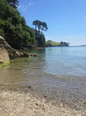 a beach with trees on the shore of a body of water at 'Shorebird' central apartment, sea views & parking in Falmouth