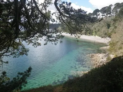 a view of a beach and a body of water at 'Shorebird' central apartment, sea views & parking in Falmouth