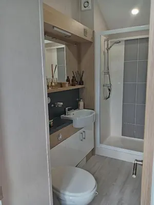 a bathroom with a toilet and a sink at Newquay Bay Resort - Poppy's Lodge Retreat in Newquay