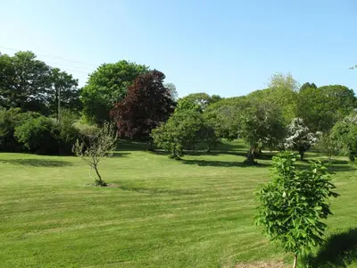 a field of grass with trees in the background at Lower Mulberry Cottage in Bodmin
