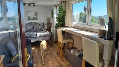 a dog standing in the middle of a room at The Cabin in St Austell