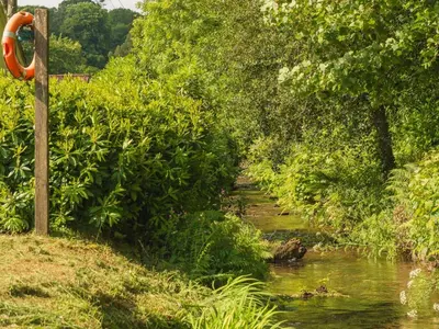 a river with trees and bushes next to a riverngth at Chalet The Birches by Interhome in Liskeard
