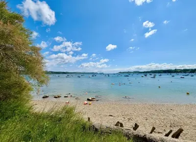 a beach with a bunch of people in the water at The Studio in Truro