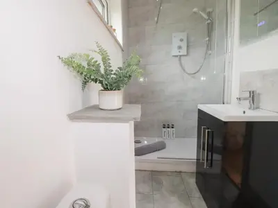 a bathroom with a sink and a bath tub with a plant at The Tinystore in Bodmin