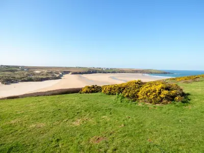 a green field with a beach in the background at Lazy Days in Padstow