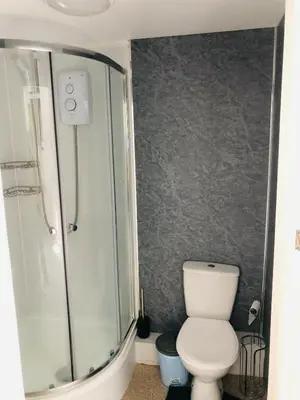 a bathroom with a toilet and a shower at The Studio in St Austell
