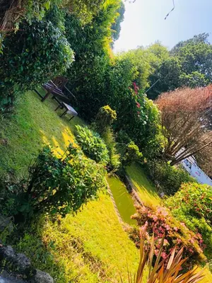a garden with a bench and trees and flowers at The Studio in St Austell