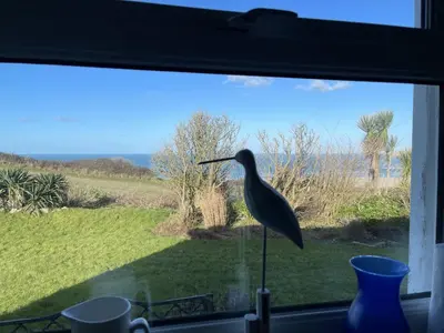 a bird sitting on a window sill looking out at a field at 1 The Links in St Ives