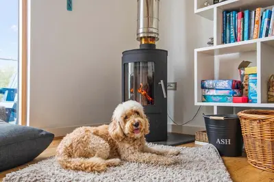 a dog laying on a rug in front of a stove at House 27 in Looe